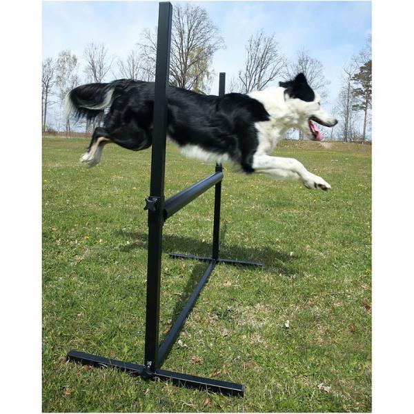 TopDog