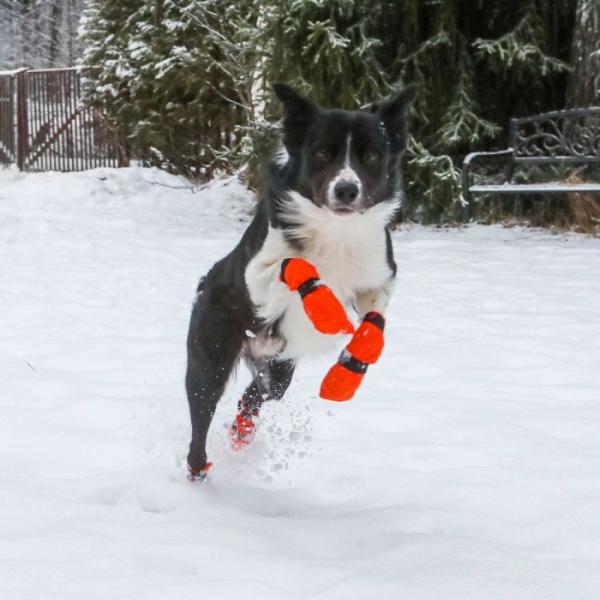 Non-Stop Contact bootie high - suojasukat