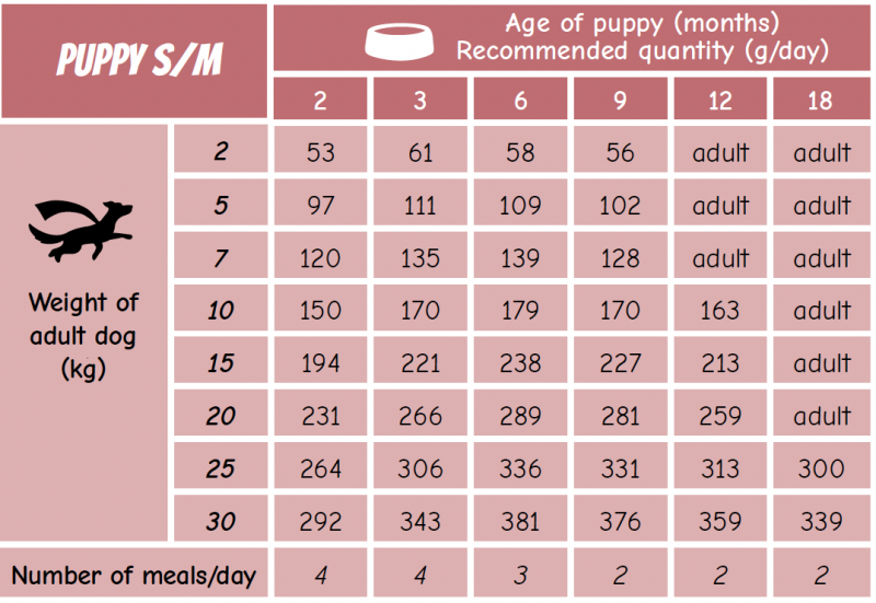 POW! Dog Puppy Small/Medium Pork