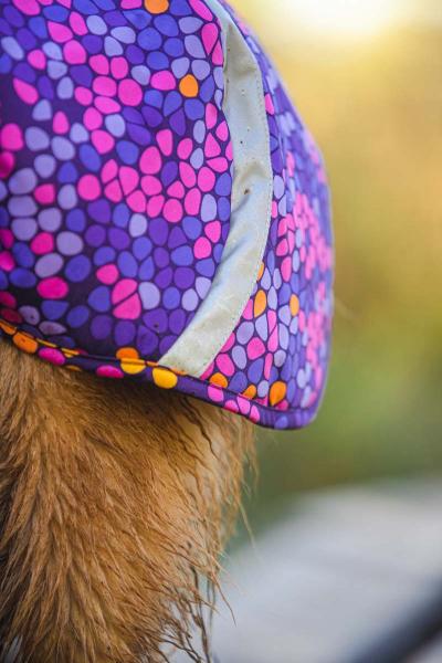 TopDog