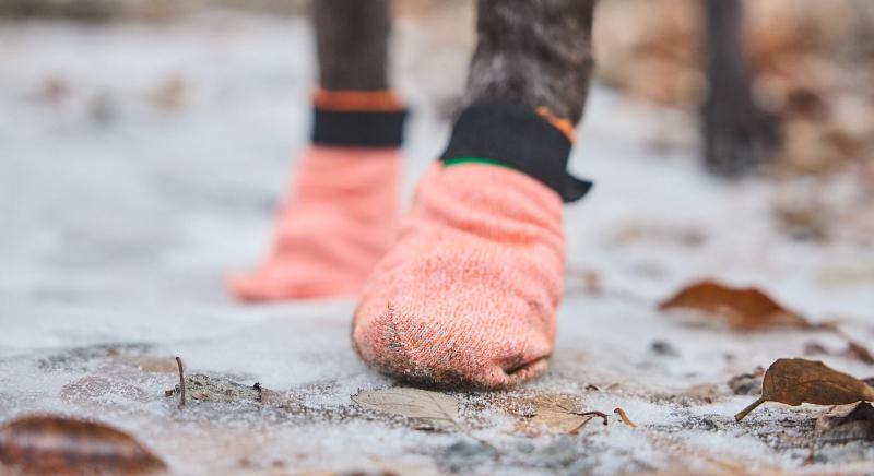 Non-Stop Protector light socks 4kpl