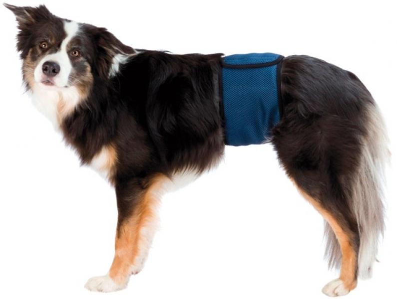 TopDog