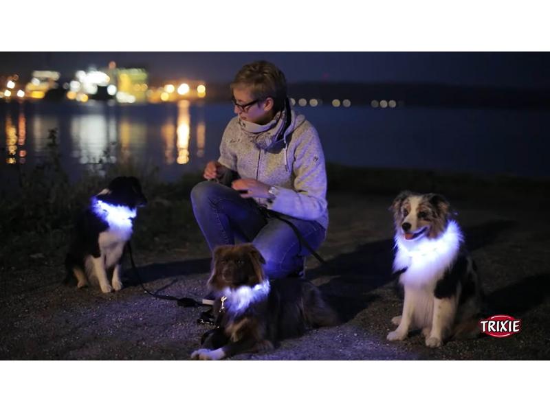 Trixie Silikoninen ladattava valopanta, lime