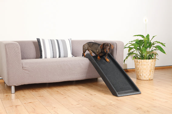 TopDog