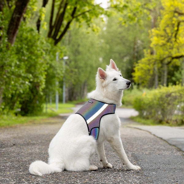 Finnero Glow heijastinliivi koiralle - monivärinen