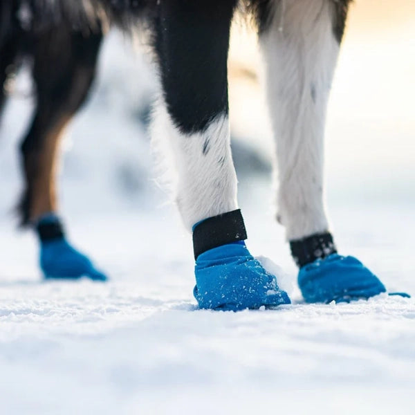 Non-Stop Long Distance Bootie 4kpl