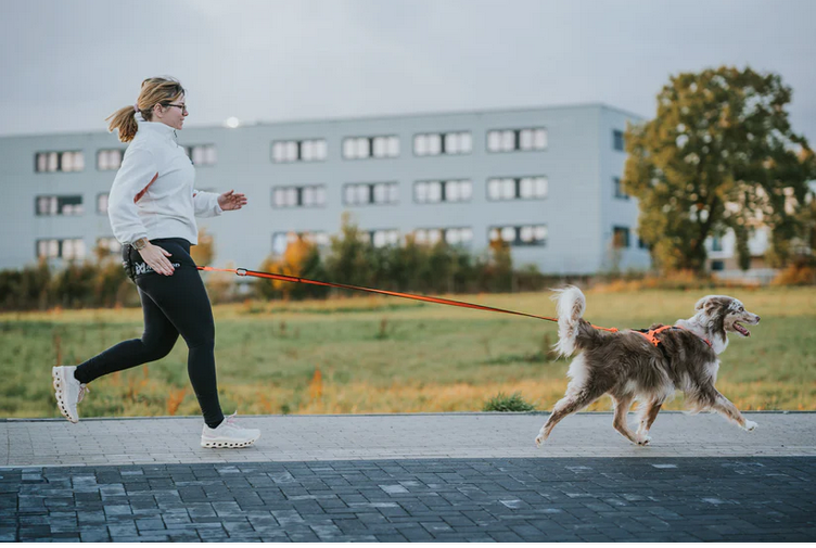Non-Stop Rush harness, teal