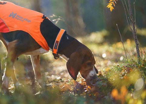 Non-Stop Protector collar - turvapanta