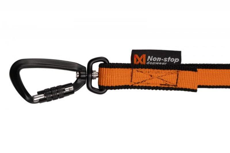 Non-Stop Bungee Leash