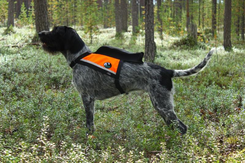 GPS koiran huomioliivi oranssi/keltainen