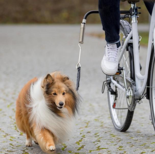 Trixie Biker Set -pyöräilytalutin koirille alle 20kg